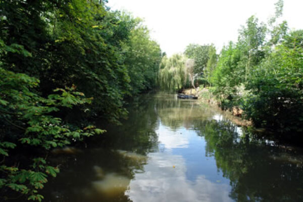 Dommelhof Boxtel